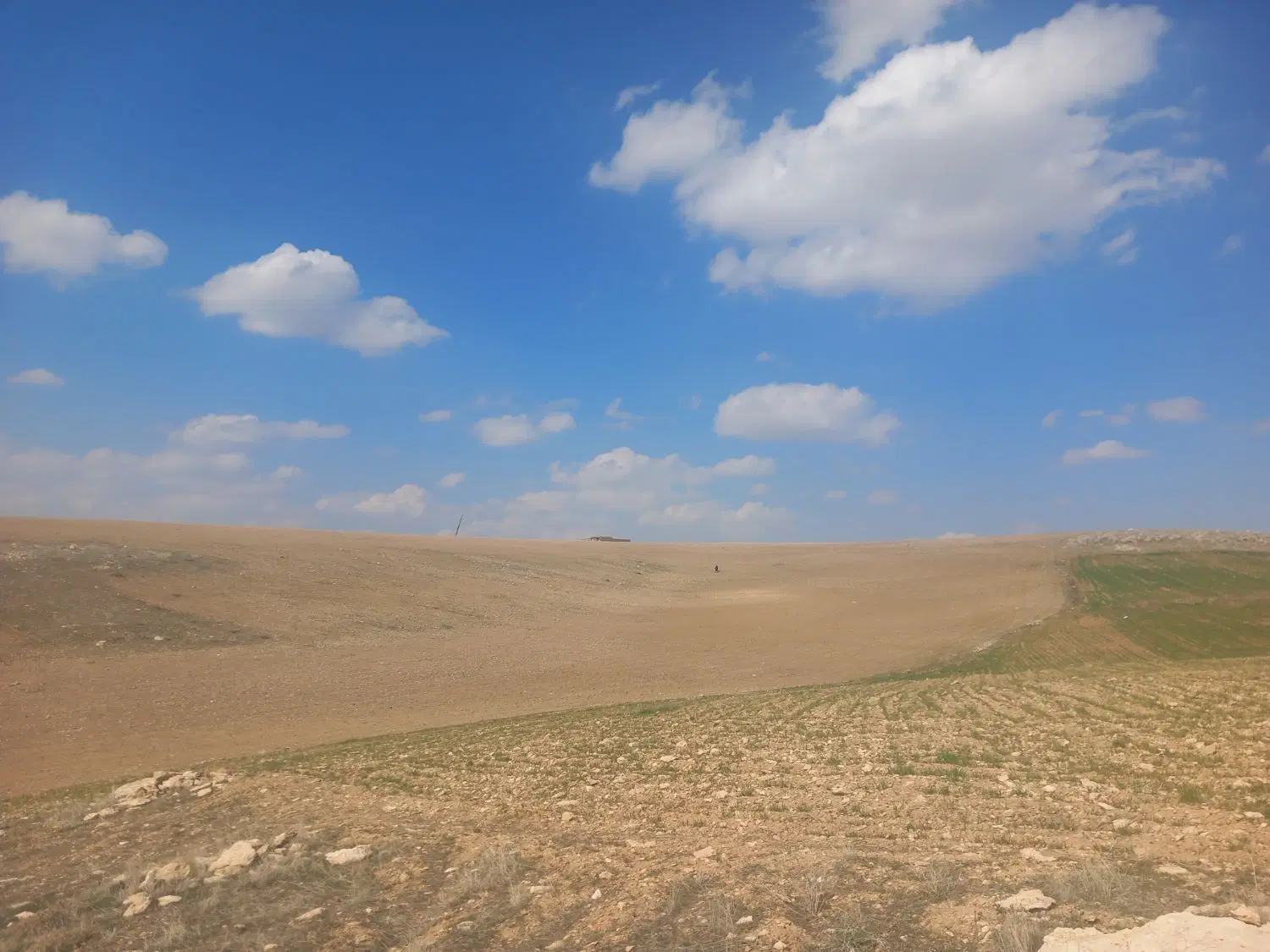 زمین خانه باغ