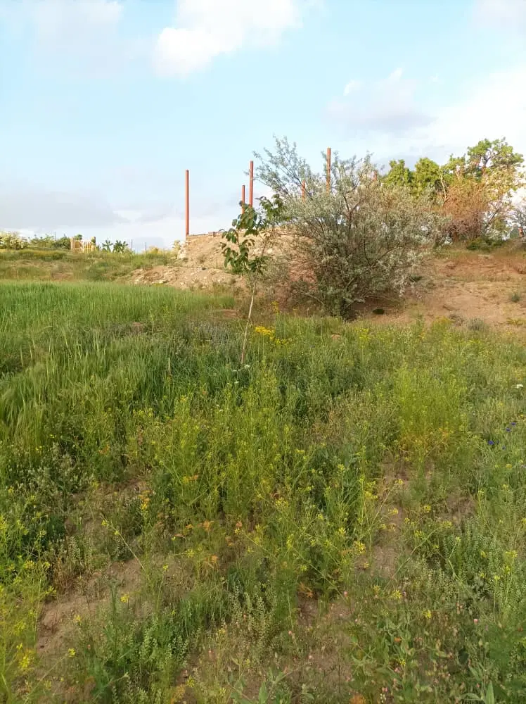 فروش باغ سه تکه