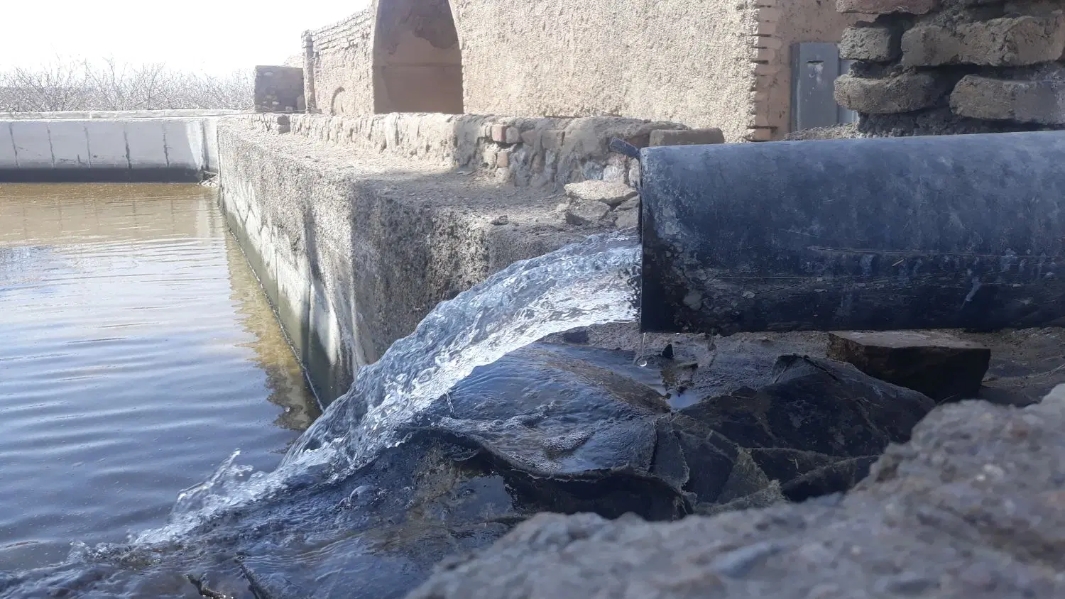باغ پسته