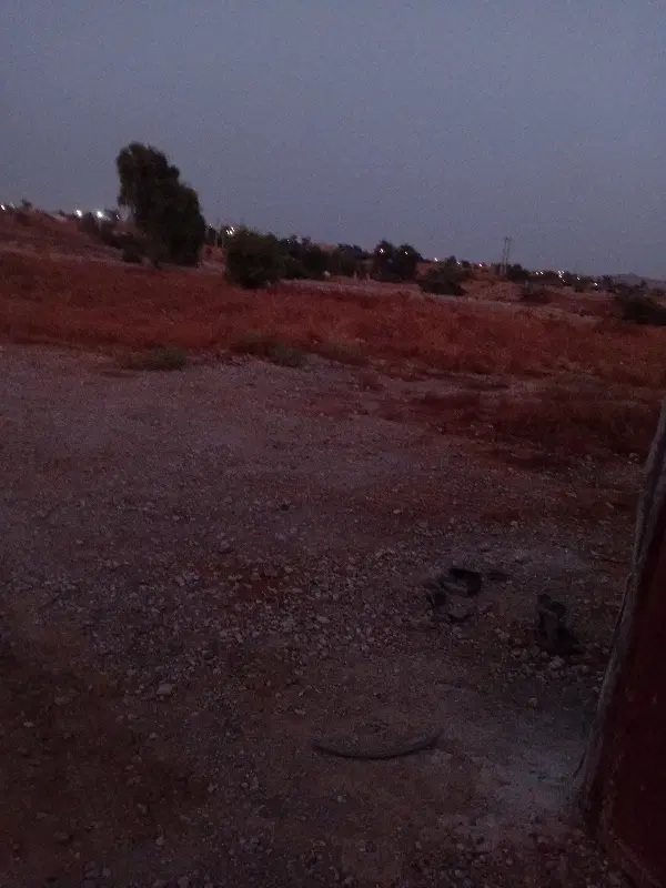اجازه زمین کشاورزی سرخون