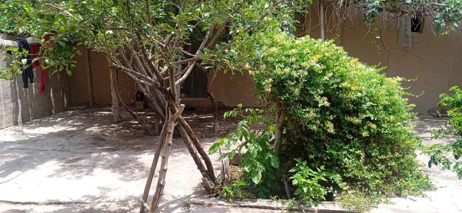 خانه باغ گلزار