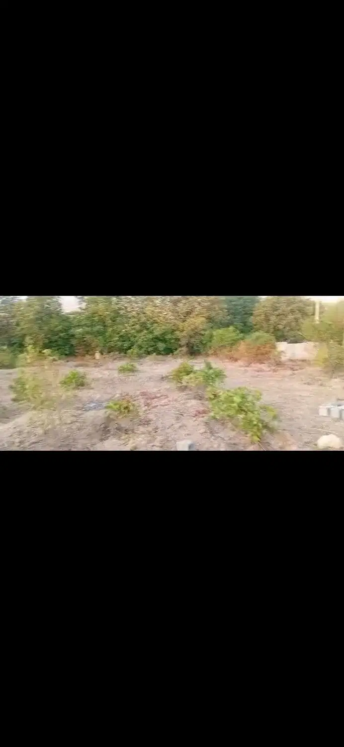 باغ