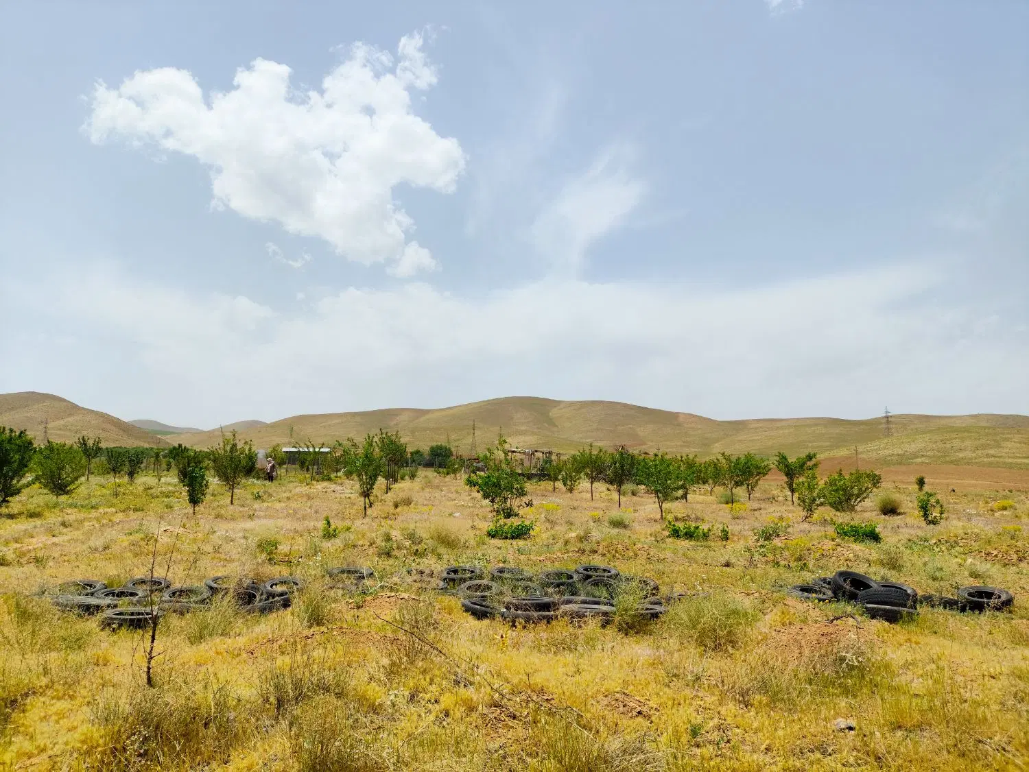 زمین برای سرمایه گذاری