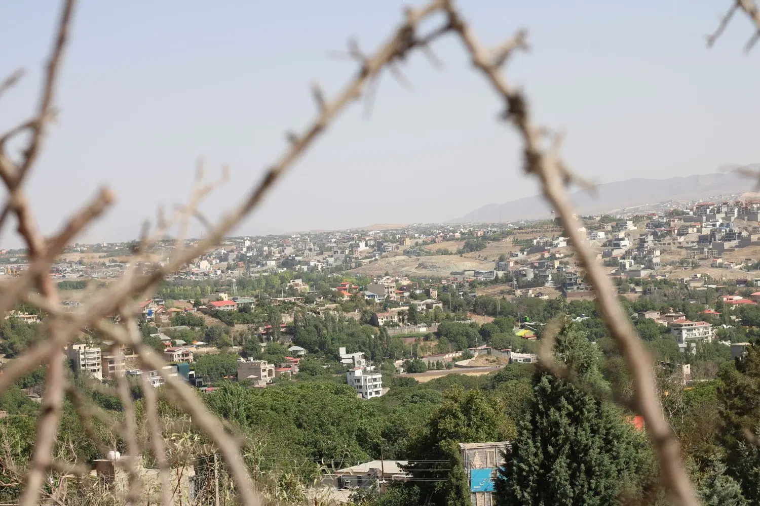 فروش زمین هکتاری