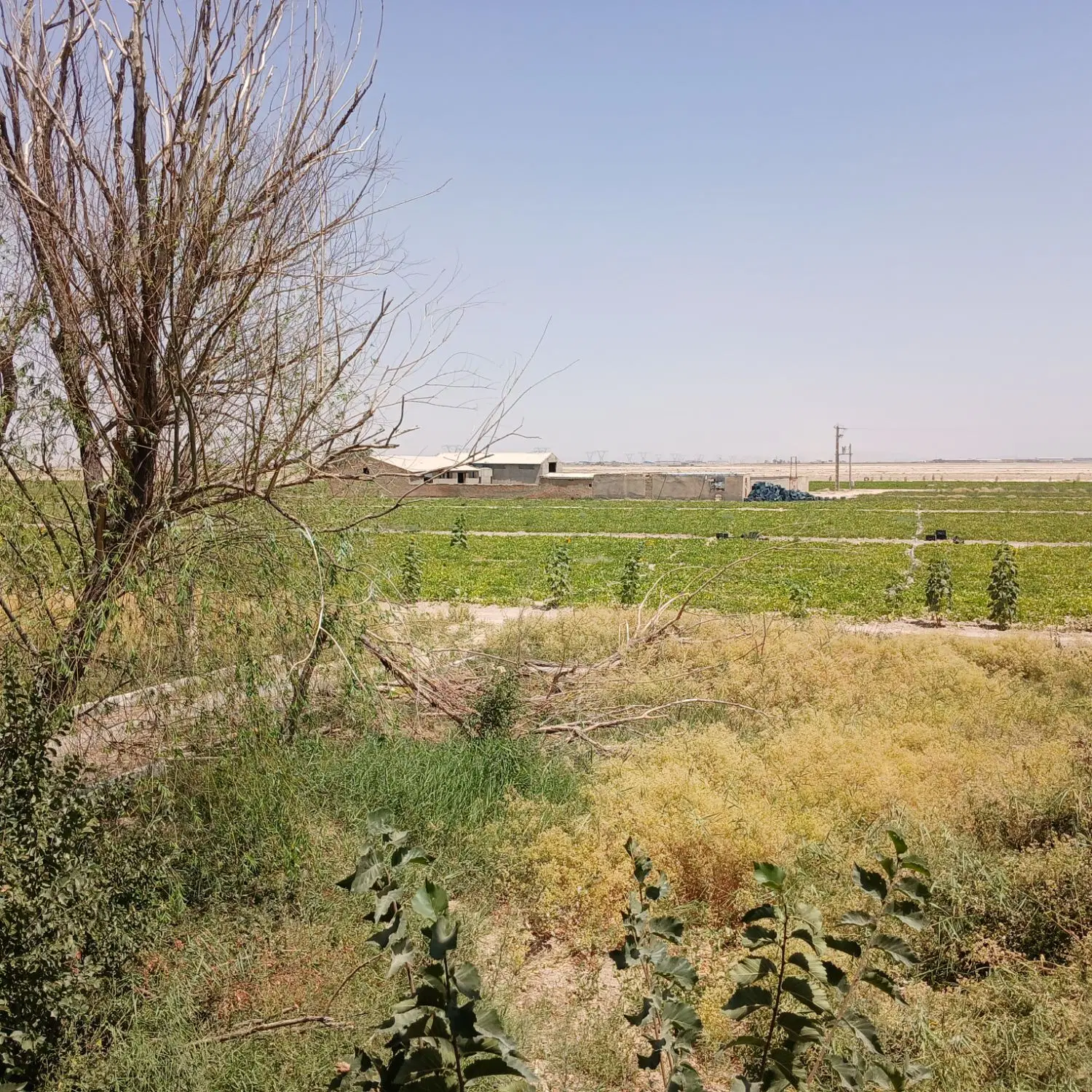 اجاره یک دانگ موتور آب وزمین