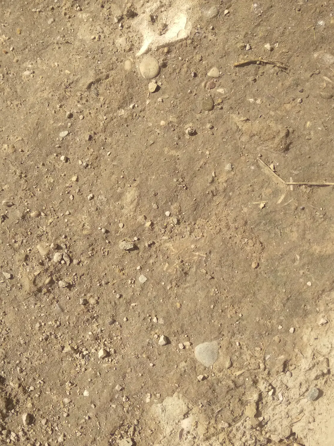 فروش زمین مسکونی