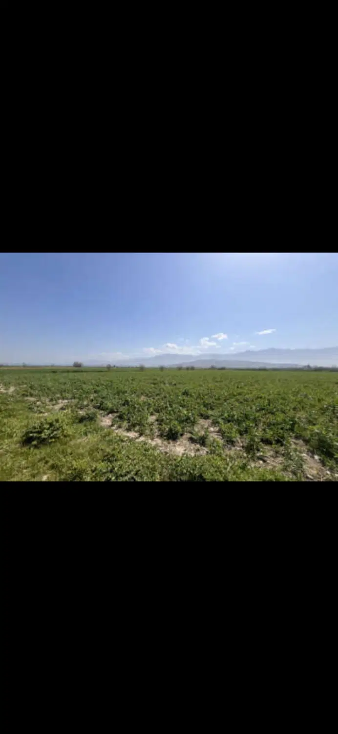 زمین در اول جاده سرخنکلاته