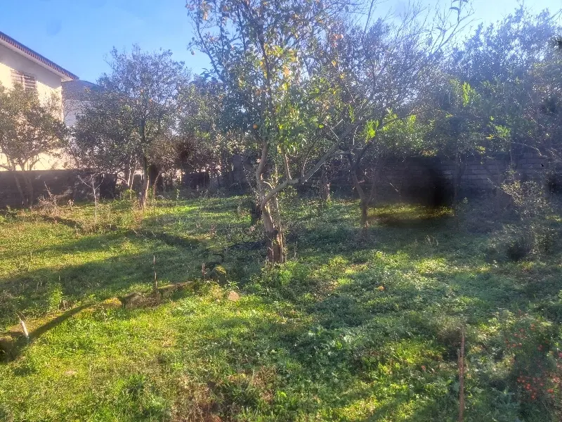 زمین بندپی بوستان ۷