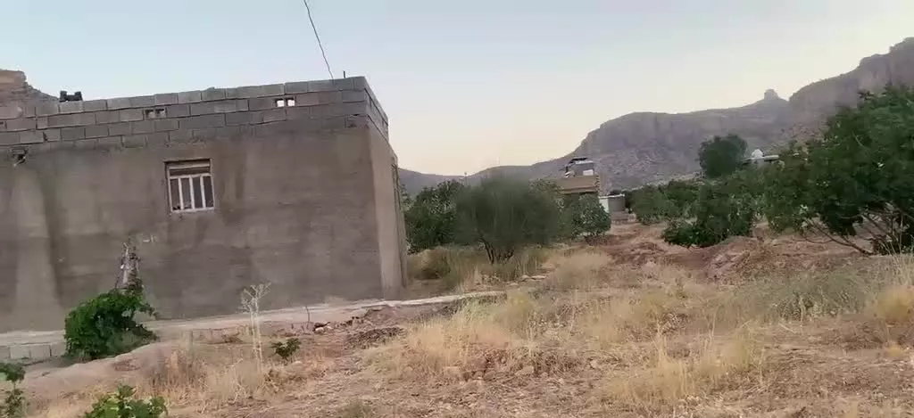 ملک بیابان ، پلنگان