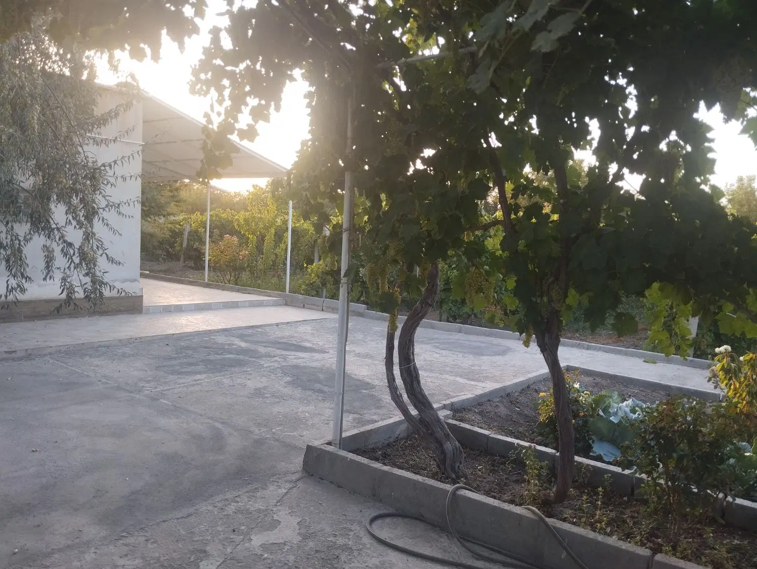 فروش باغچه