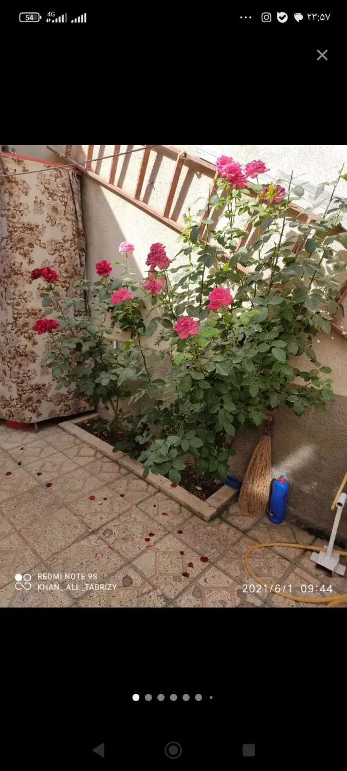 اجاره خانه