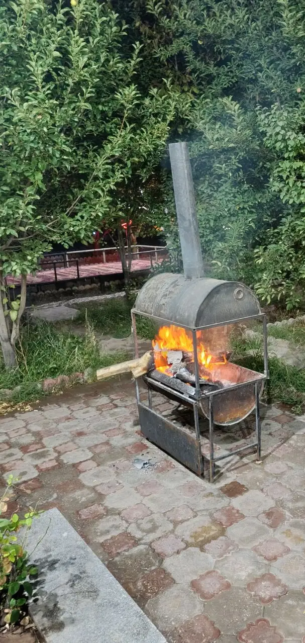 باغ ویلا