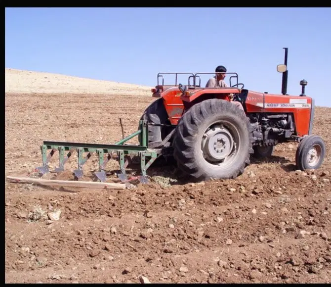 اجاره داده میشود زمین کشت