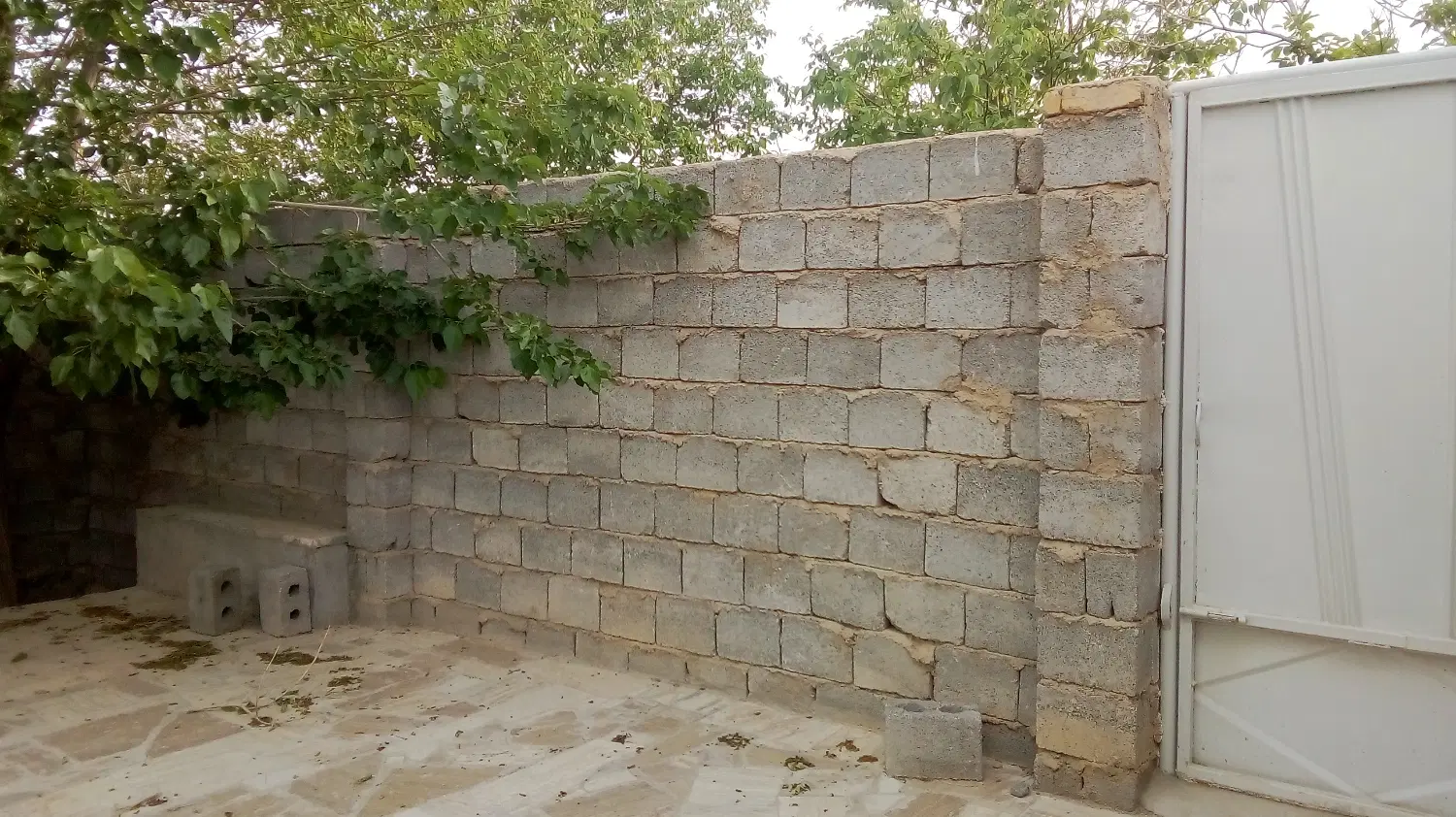 باغ علویجه
