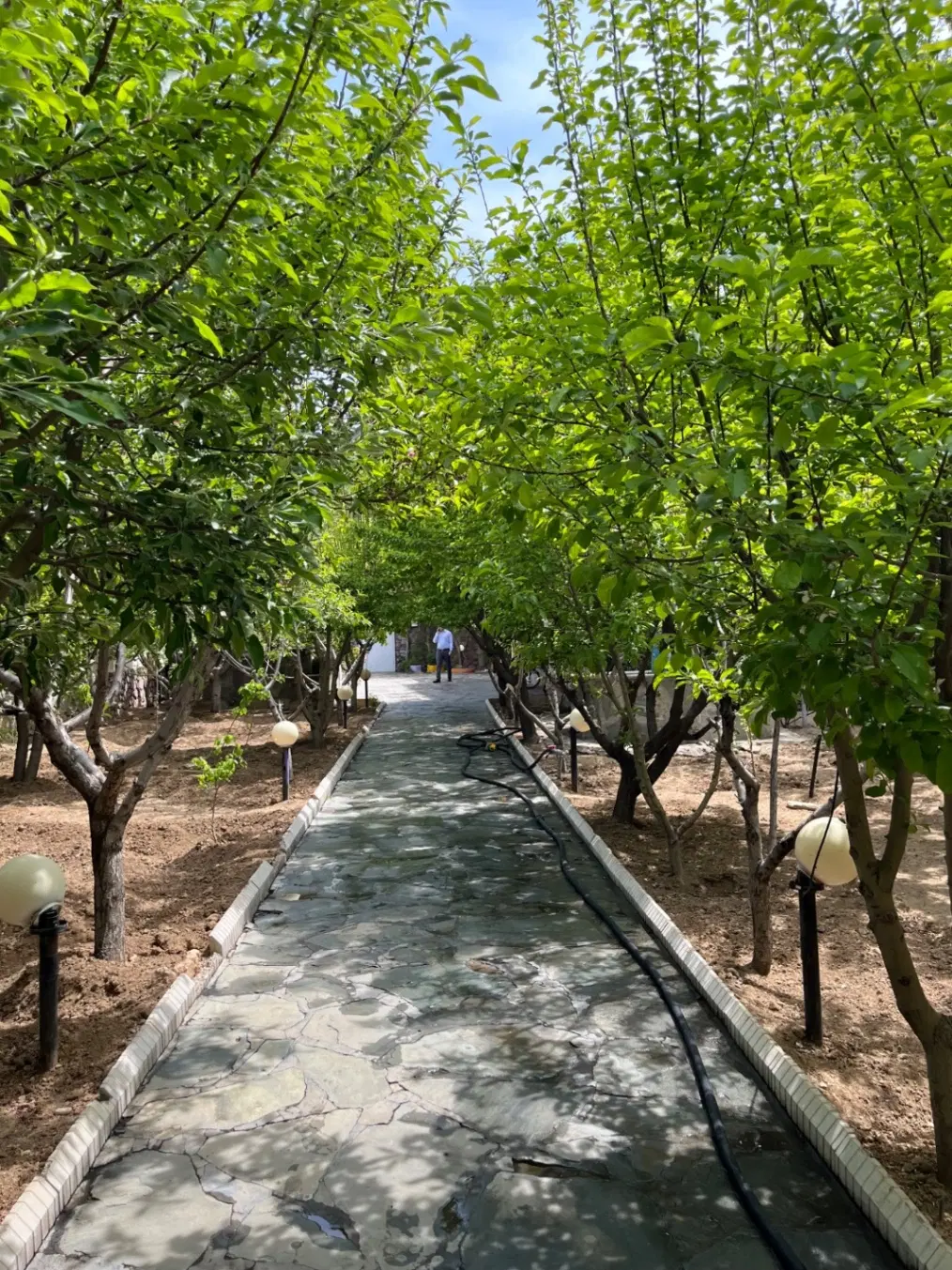 کوهسار قواره کوچک