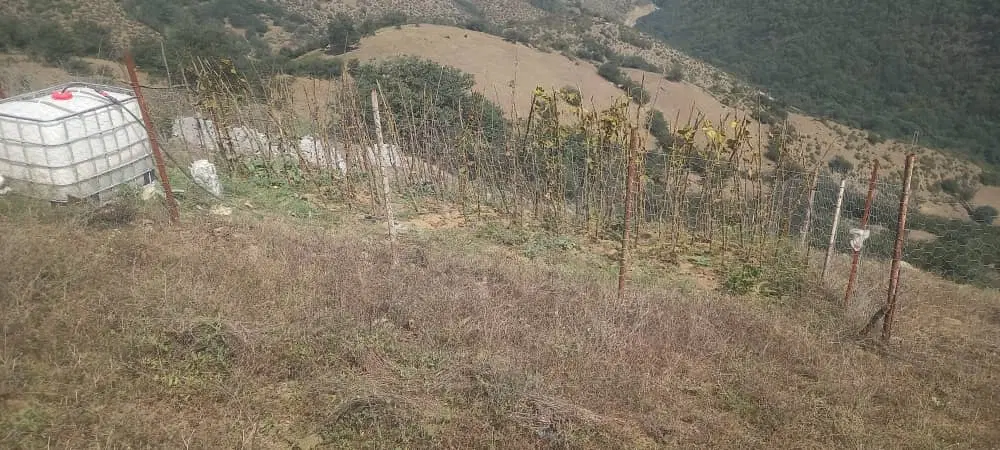 زمین ۲۱۵ متر
