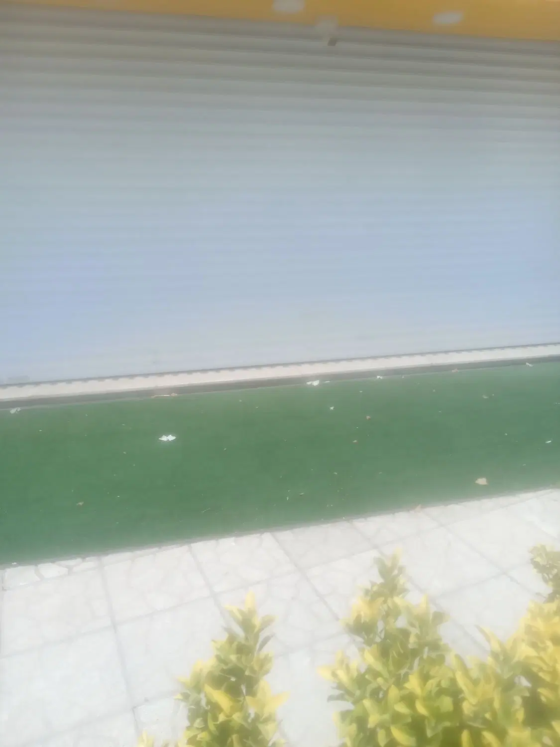 مغازه تجاری