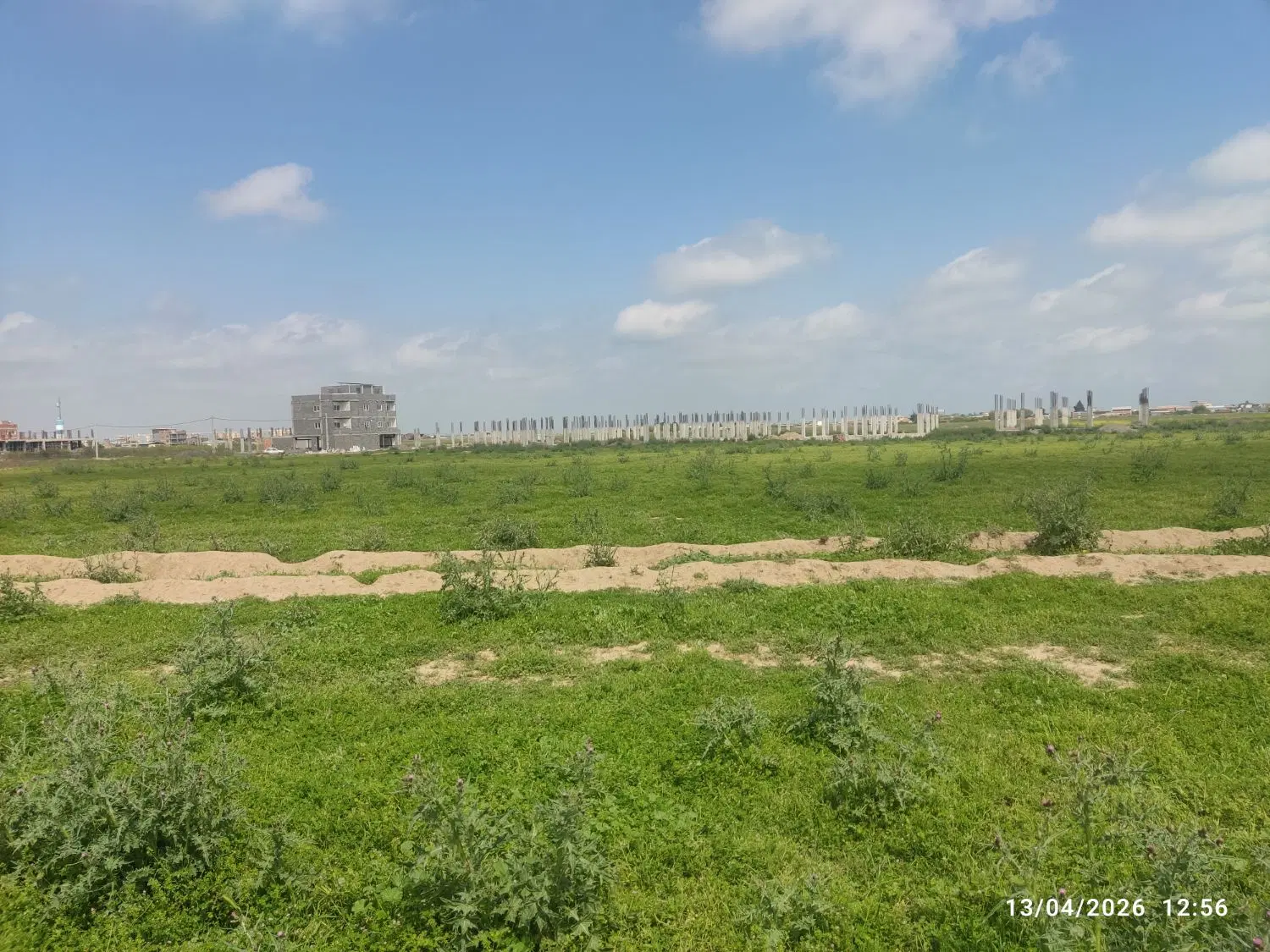 زمین سند سبز طلق