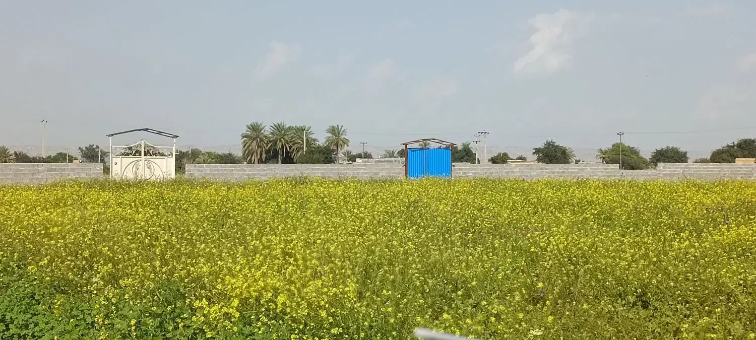 ویلا خانه باغ