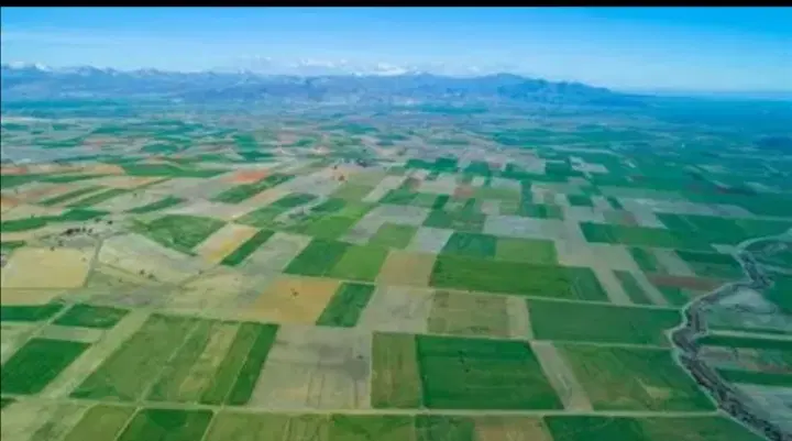 فروش زمین کشاورزی روستای بالوانه خالدیان