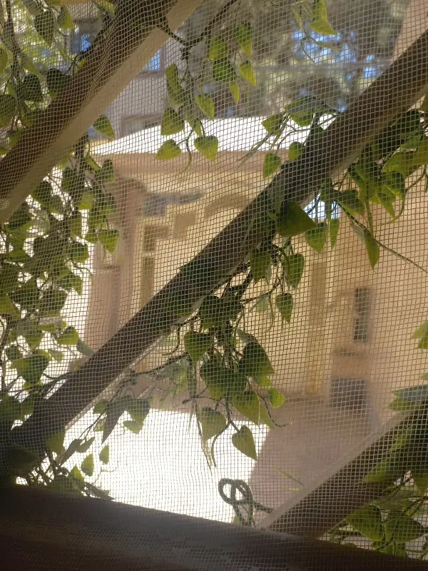 اجاره آپارتمان