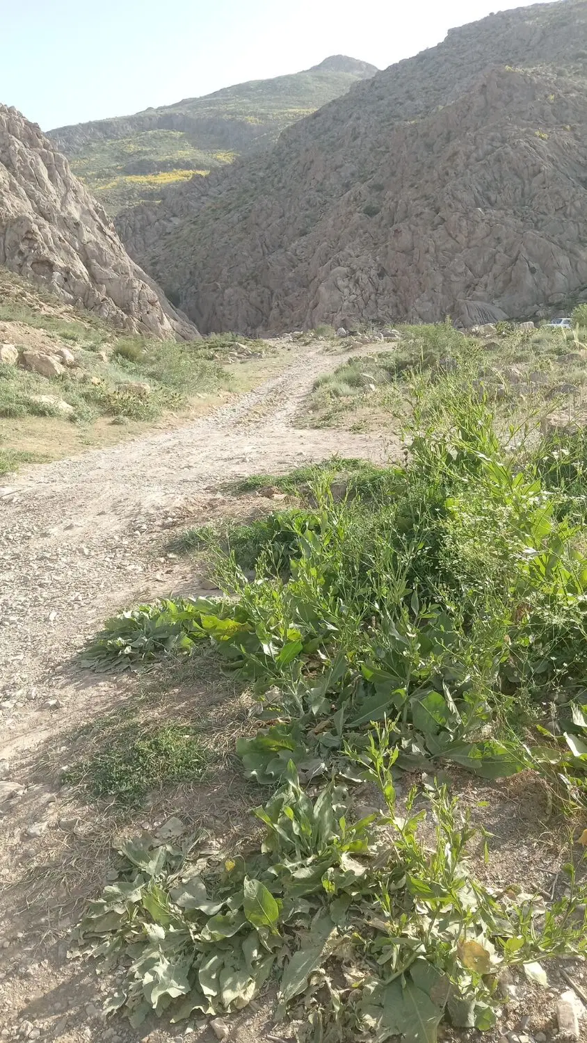 اجاره زمین چهار دیواری نزدیک به کمربندی یزدانشهر