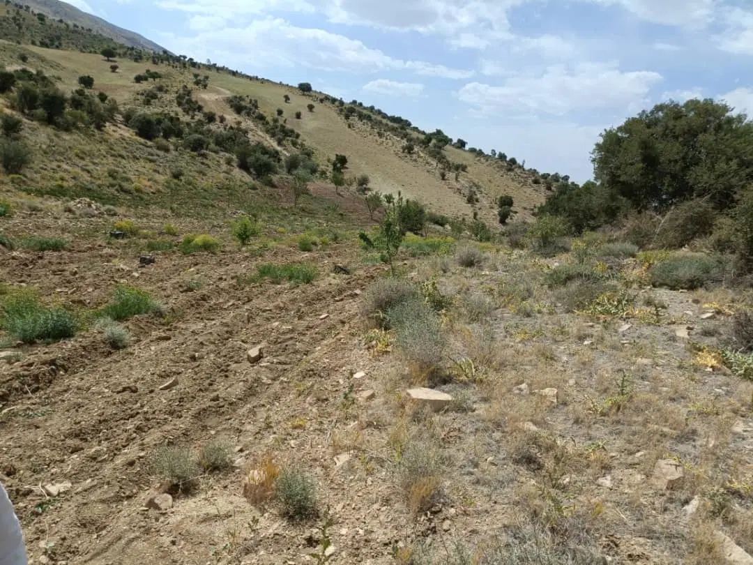 خرید فروش زمین ومنزل روستایی