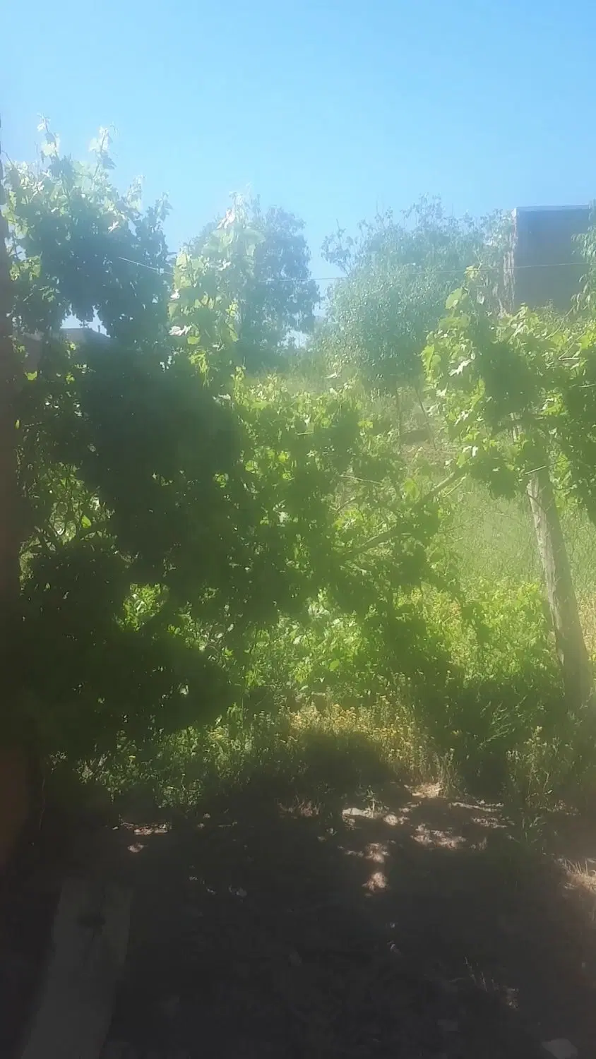 خانه