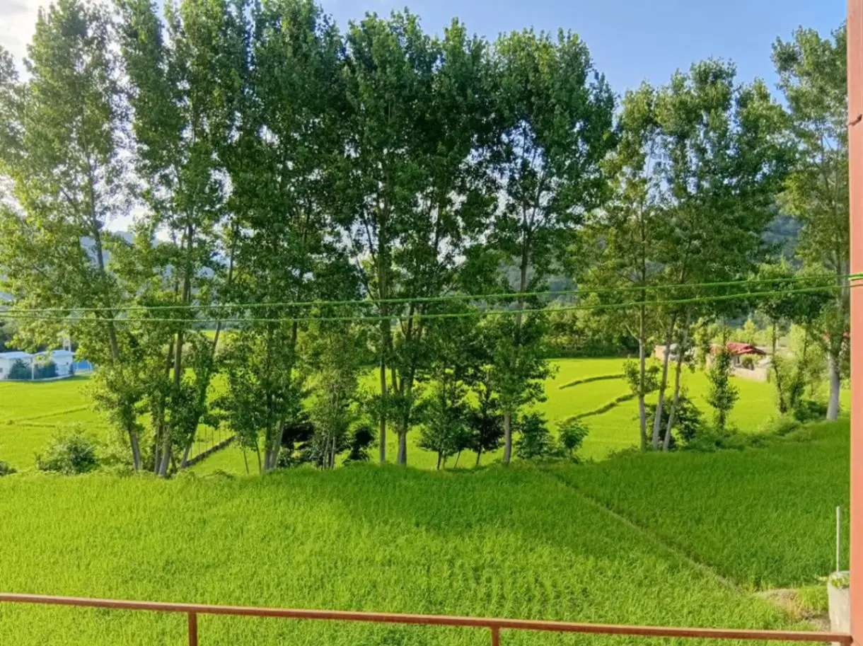 رهن و اجاره در تالش ، سد ساحلی