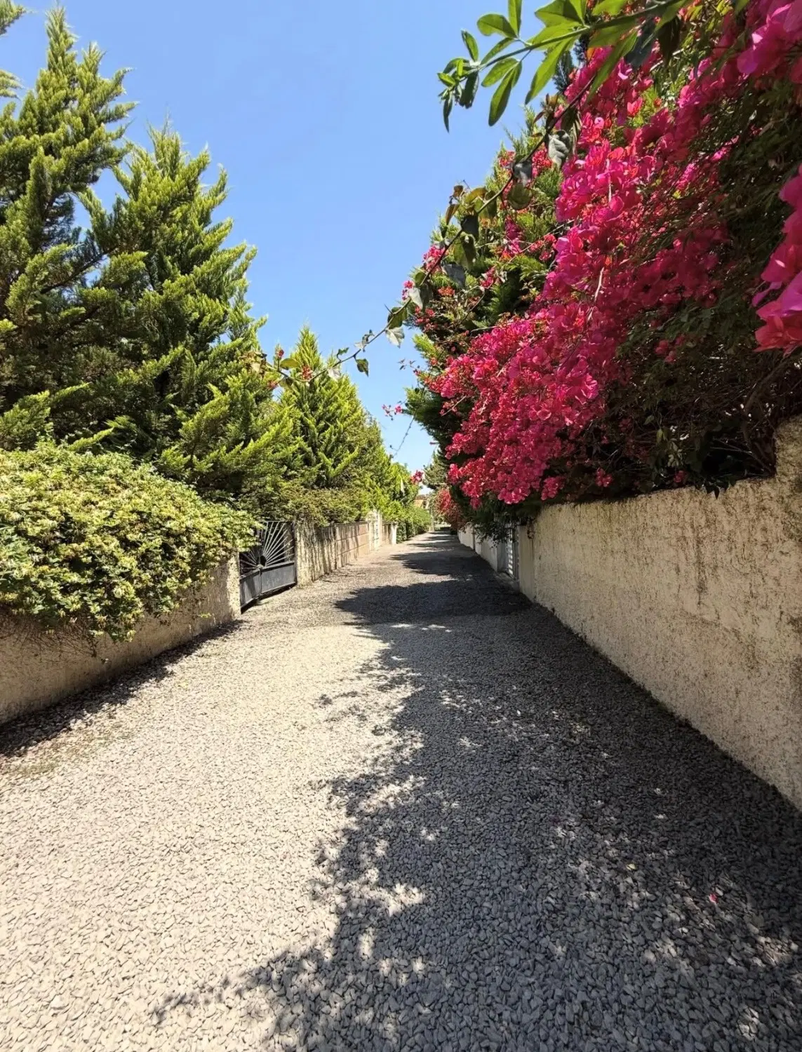 ۳۵۰متر ویلاشمال سه کنتوراختصاصی