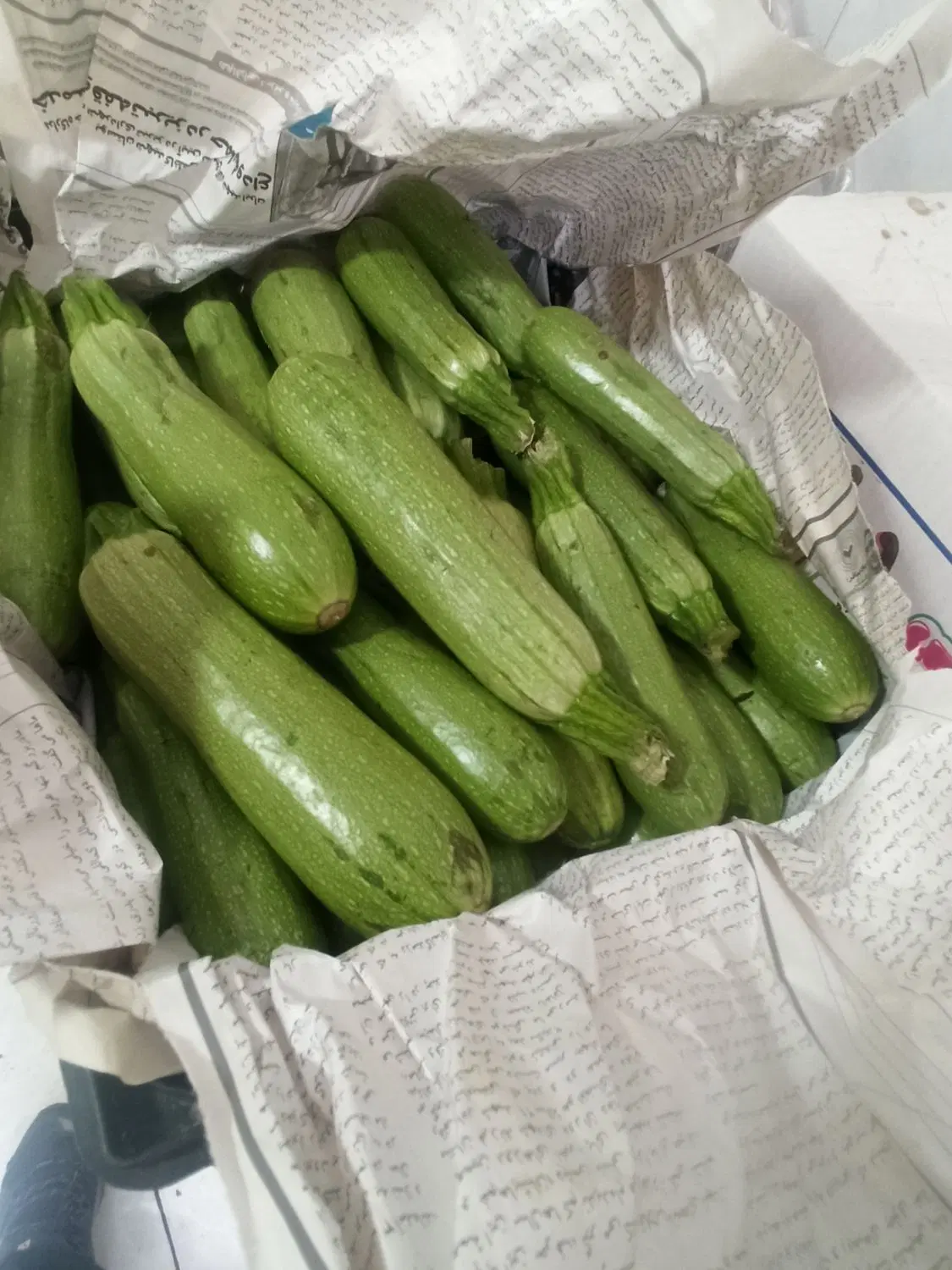 شریک میوه فروشی