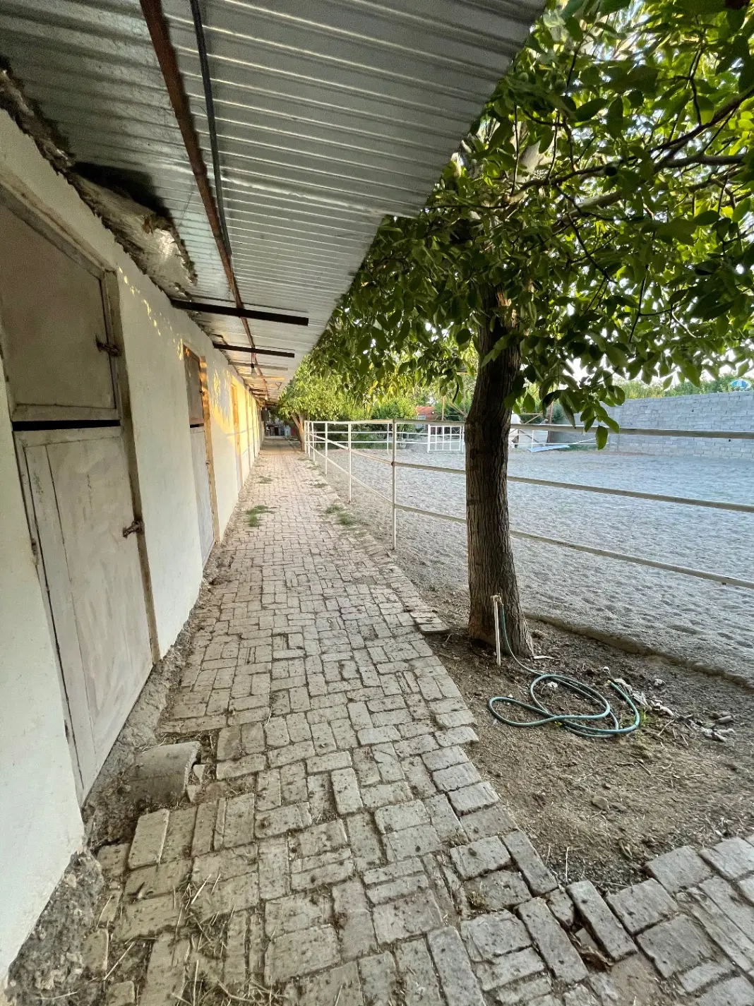 1200 متر باشگاه پرورش اسب