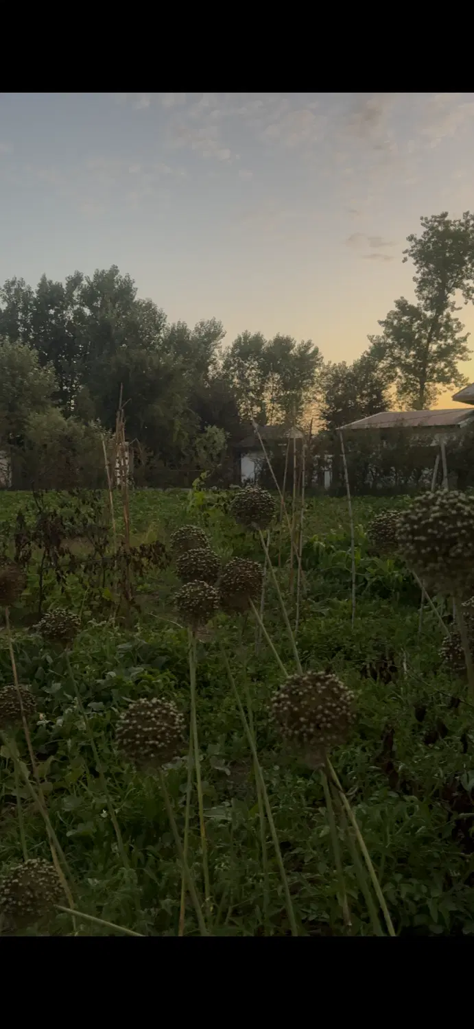 زمین فروشی