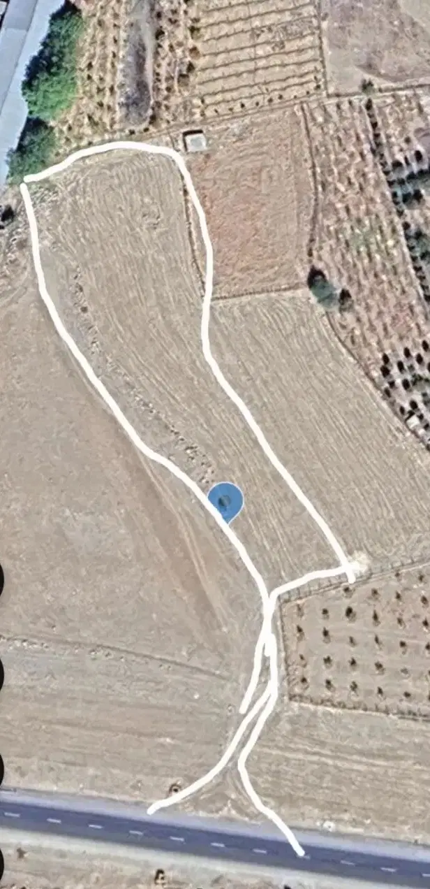 زمین
