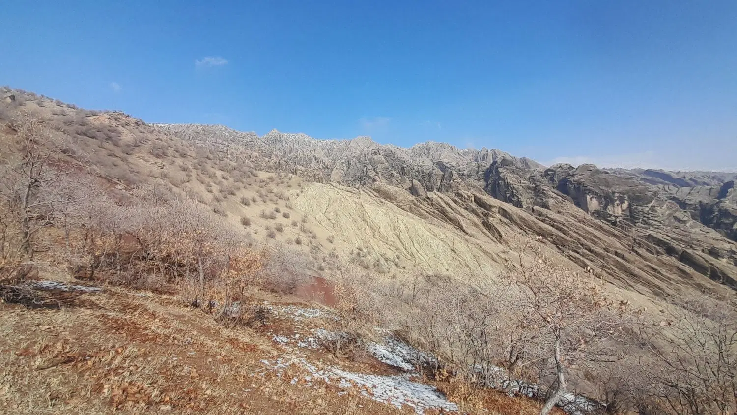 فروش زمین