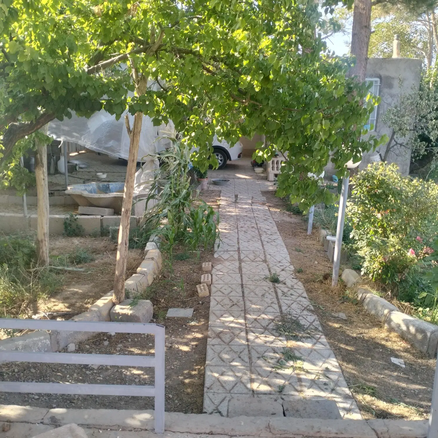 خانه باغ.۷۰ متری در شاهرود