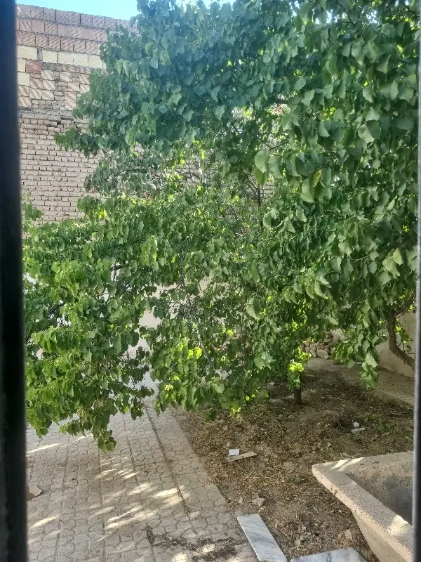 خانه ویلایی رهن کامل