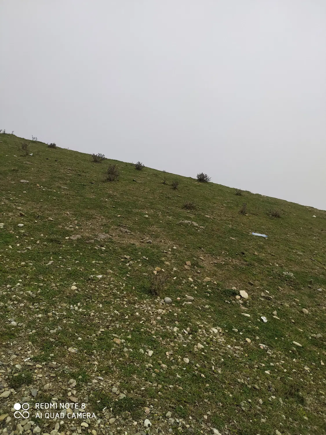 زمین مسکونی درصالح اباد