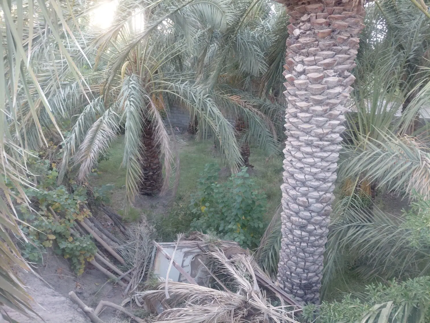باغ فروشی هراران