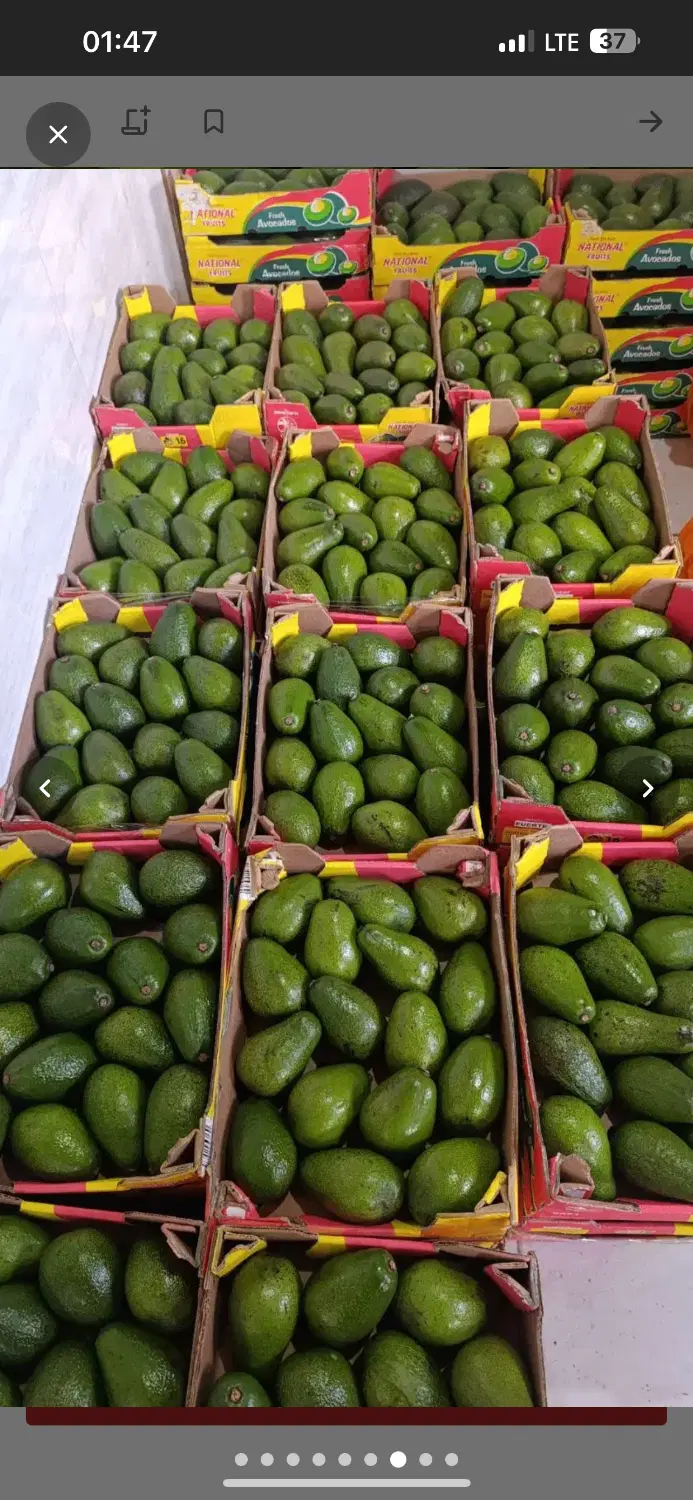 شریک میوه با سود معطمن خوب