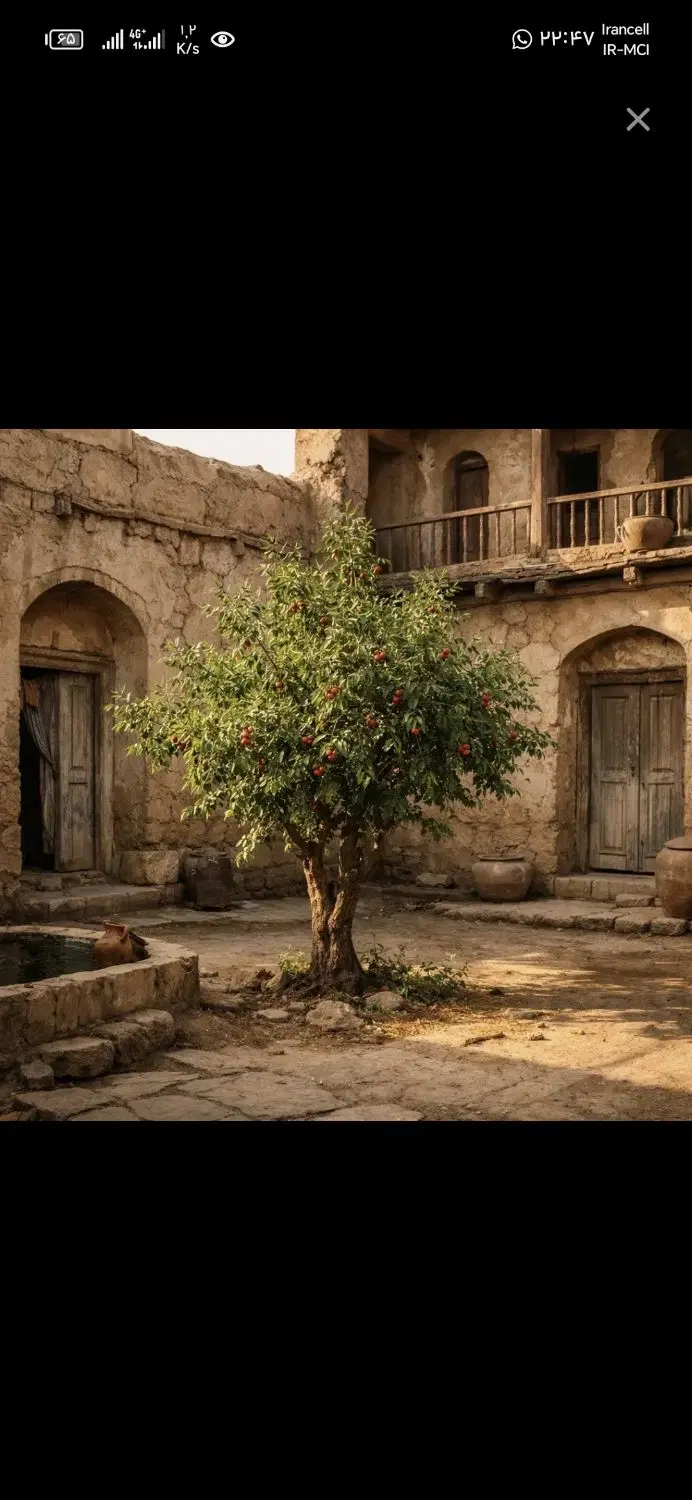 زمین بلوار امام رضا