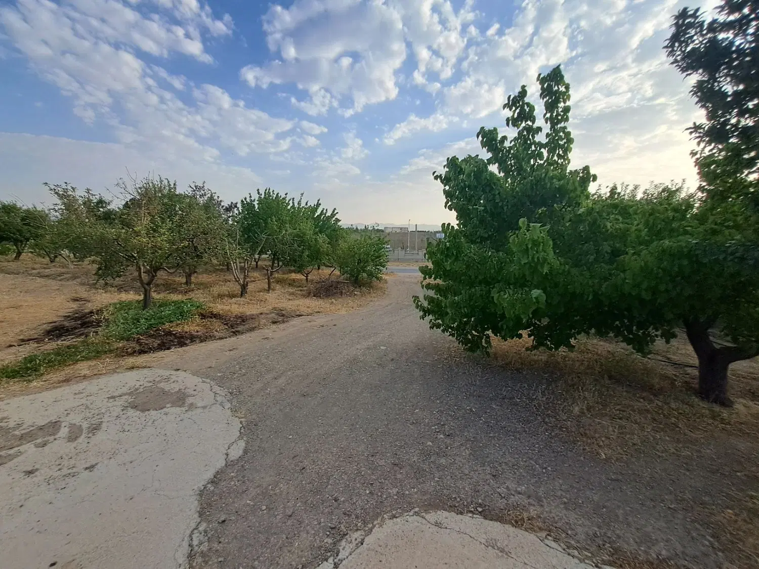 باغ شخصی دارای سند