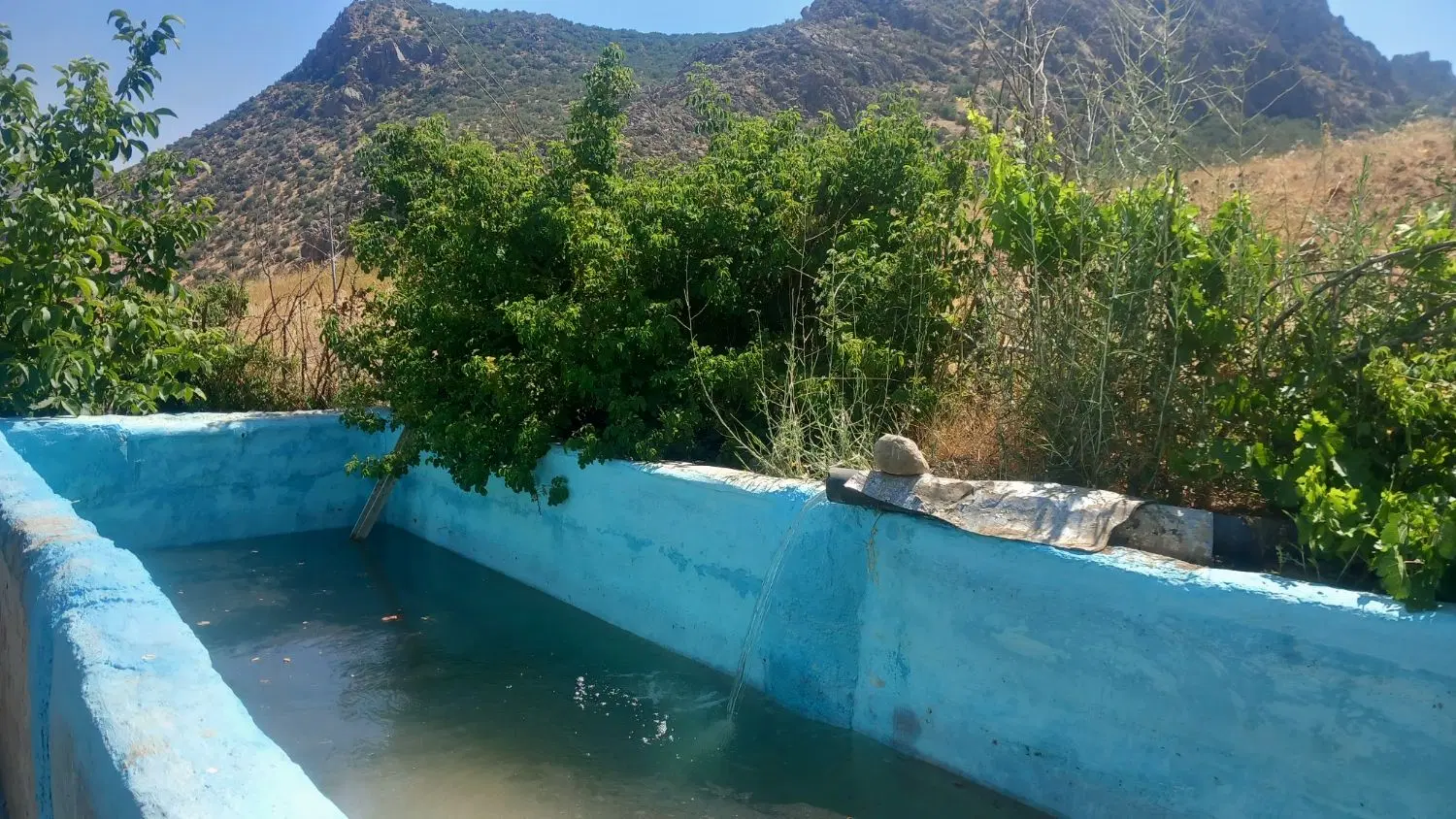 فروش ویلا باغ