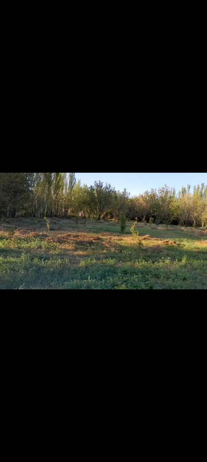 باغ متراژ ۱۸۰۰ متر