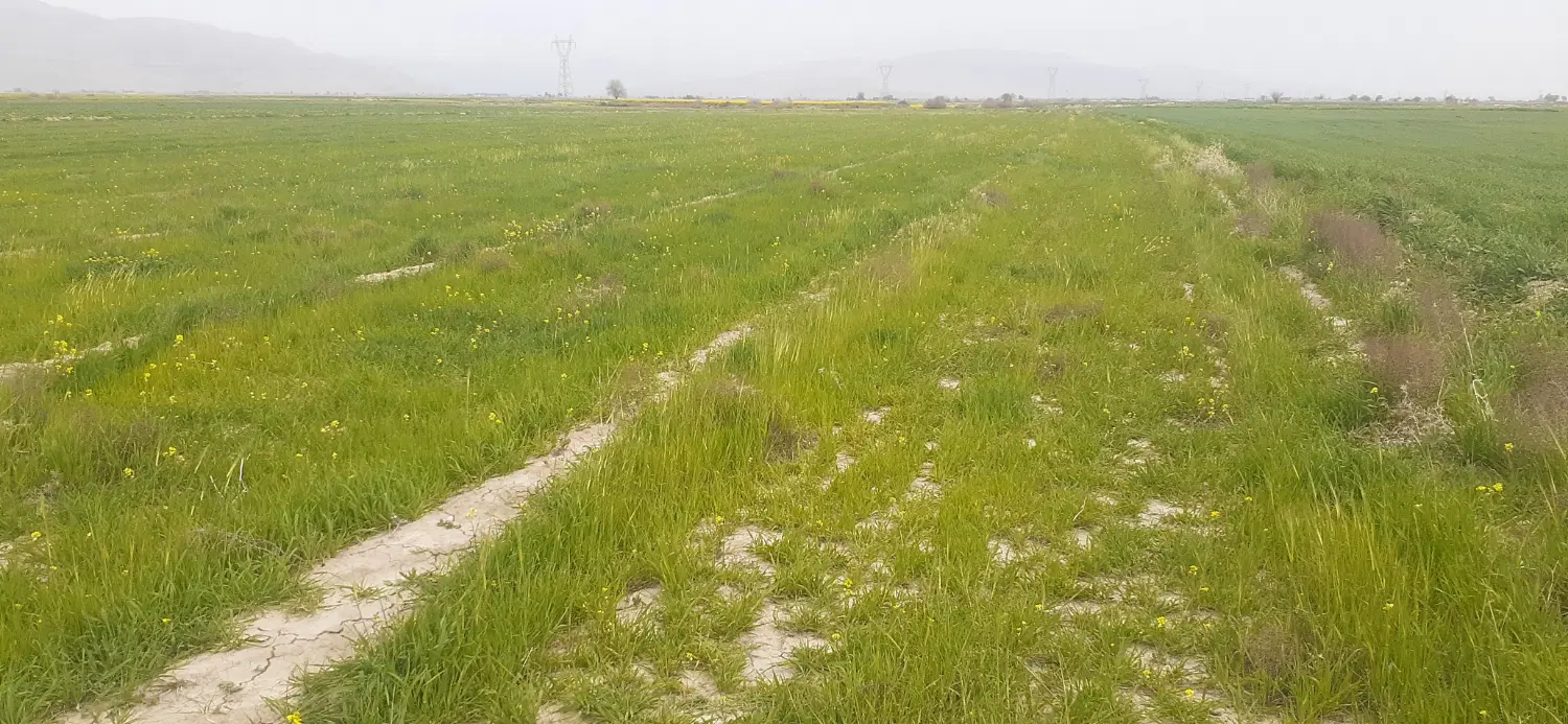 فروش زمین سند دار کنار رودخانه کر