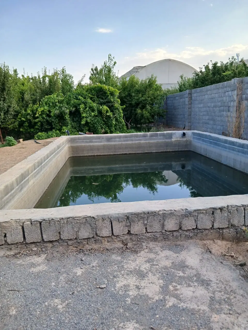 باغ میوه و استخر دار