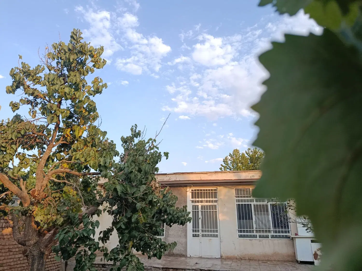 اجاره خونه ویلایی