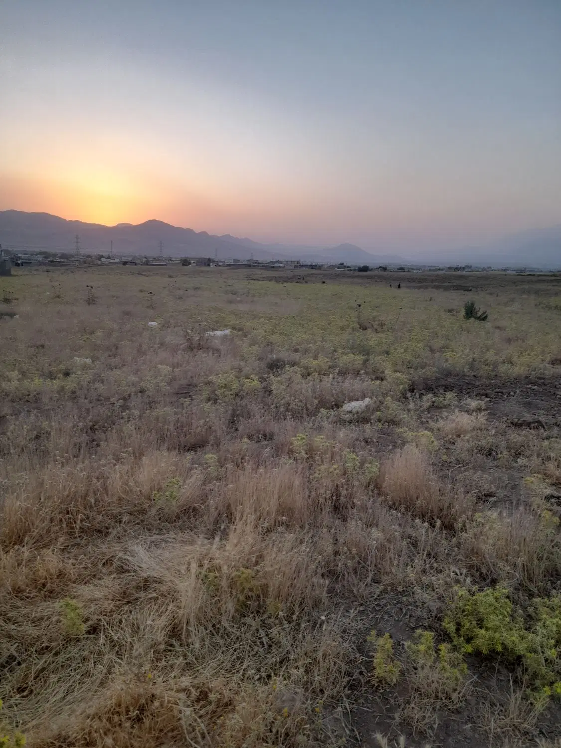 زمین مسکونی