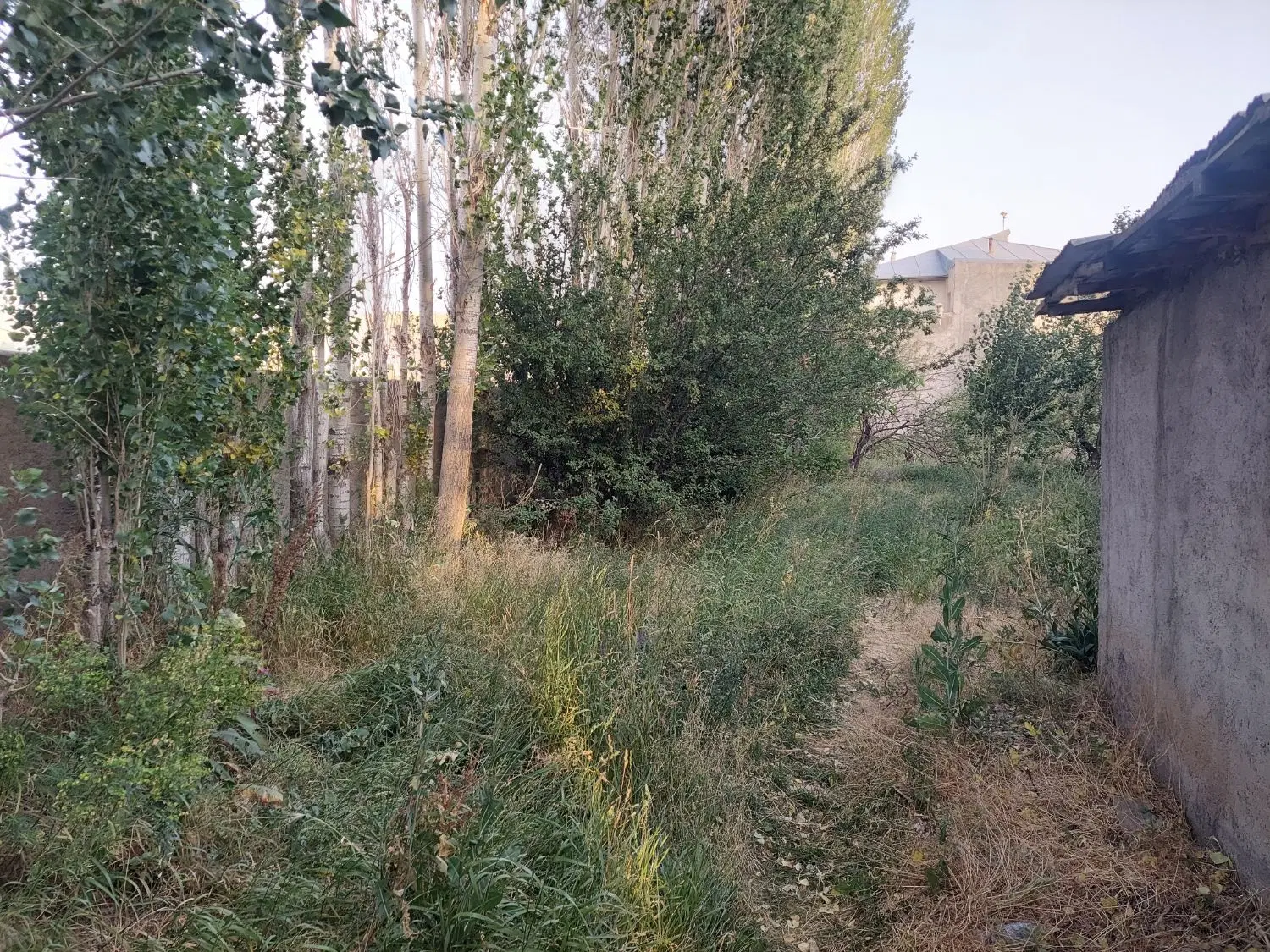 زمین مسکونی