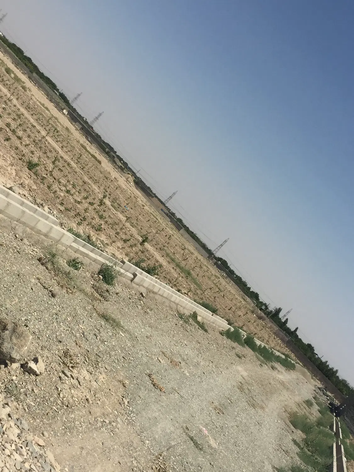 زمین باغی